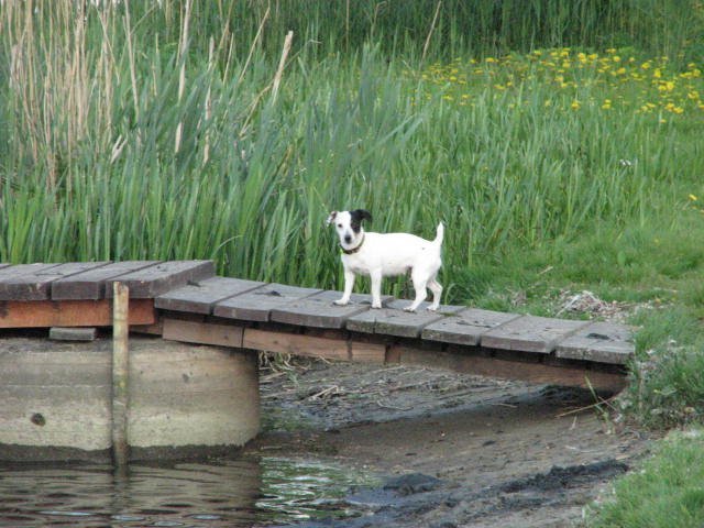 img_0001.jpg