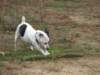 img_0003_small.jpg