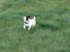img_0007_small.jpg