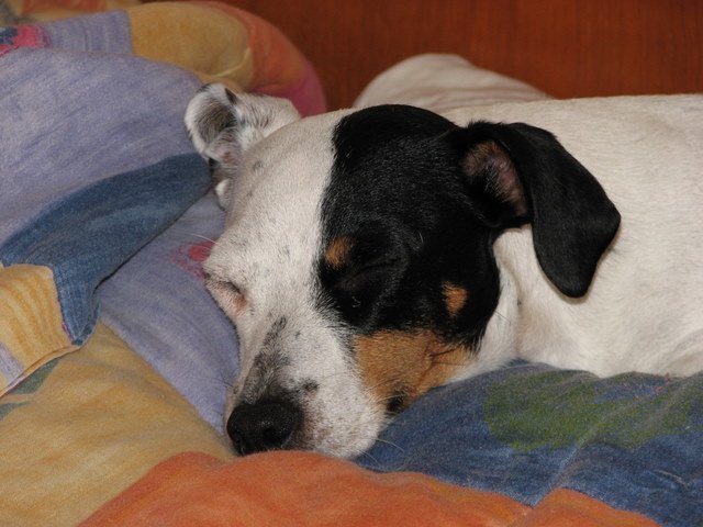 img_0336.jpg
