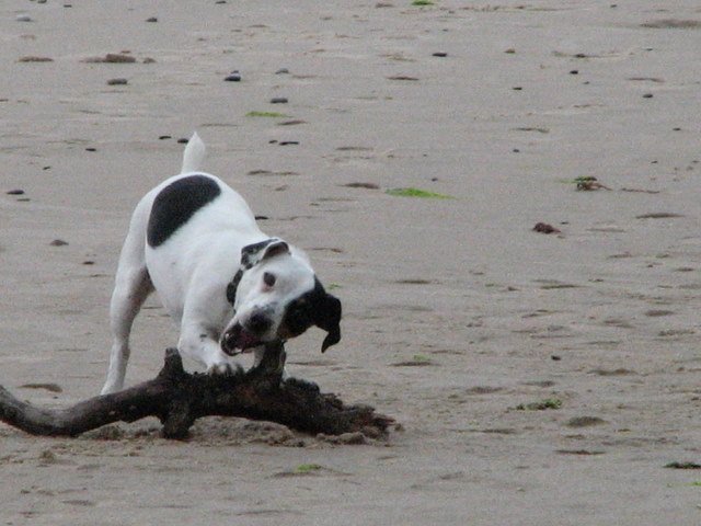 img_0345.jpg