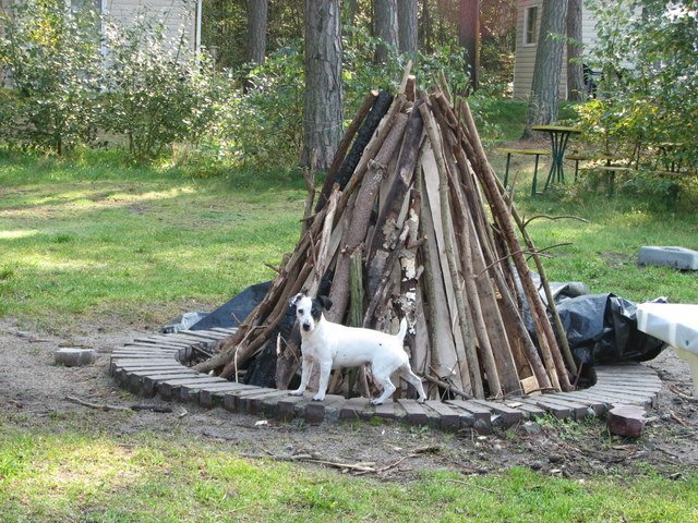 img_0350.jpg