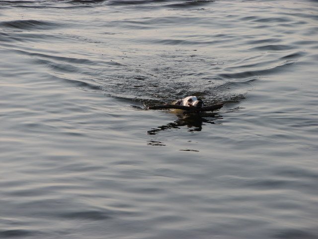 img_0416.jpg