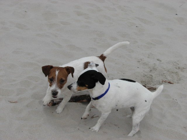 sopot20083.jpg