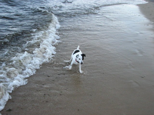sopot20096.jpg