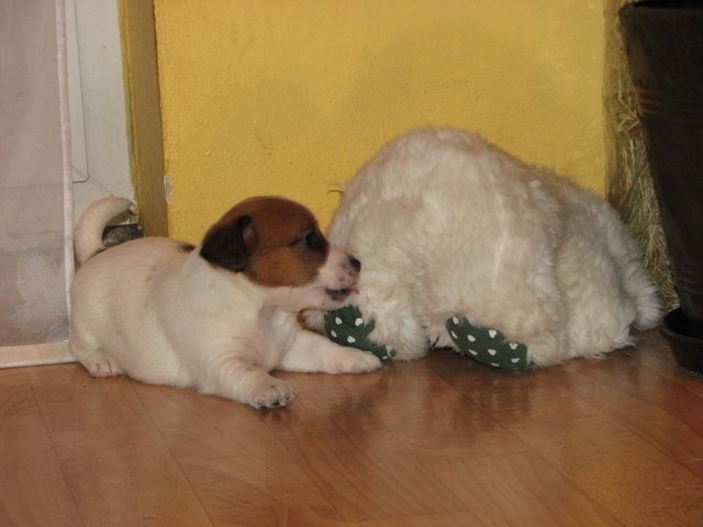 img_0042.jpg