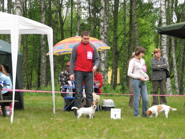 img_0053.jpg