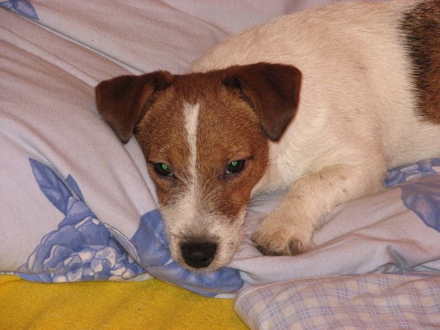 img_0067.jpg