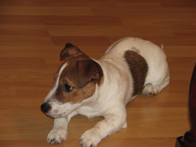 img_0069.jpg