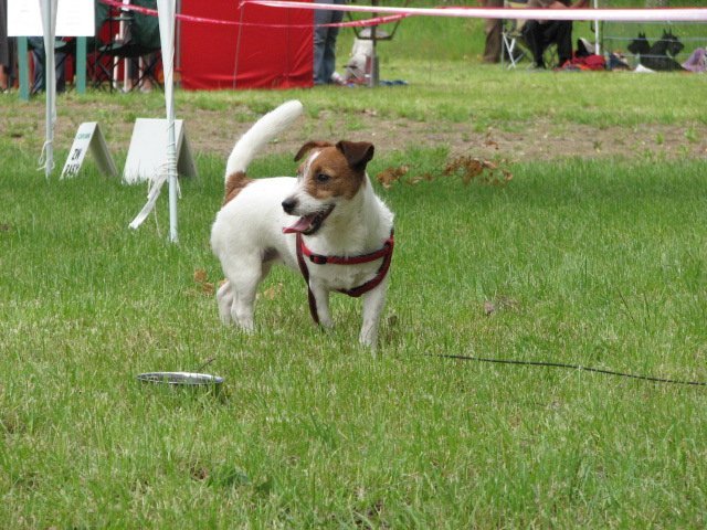 img_0583.jpg