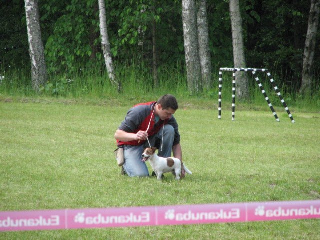 img_0622.jpg