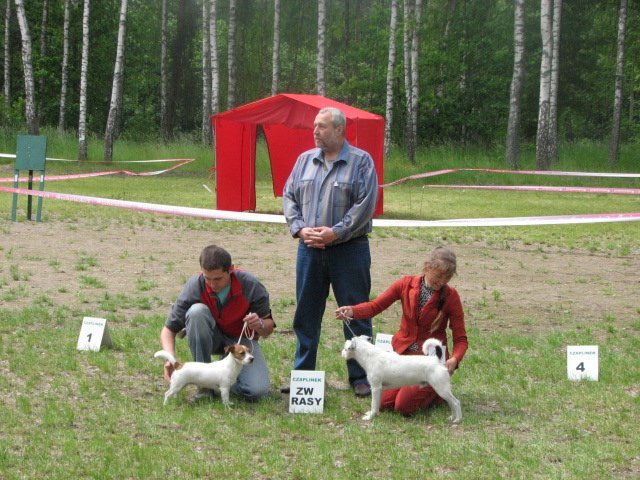 img_0739.jpg