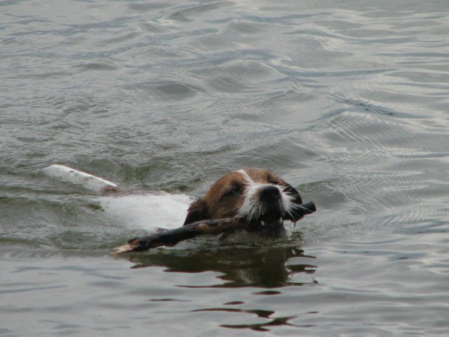 img_0754.jpg