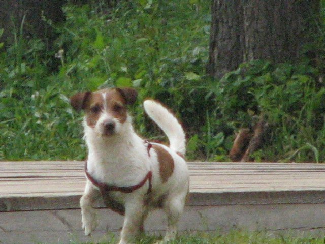 img_0759.jpg