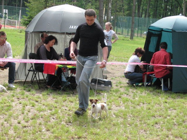 img_0819.jpg