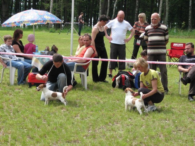 img_0832.jpg