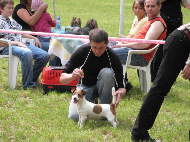 img_0833.jpg