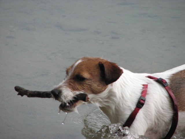 img_0858.jpg