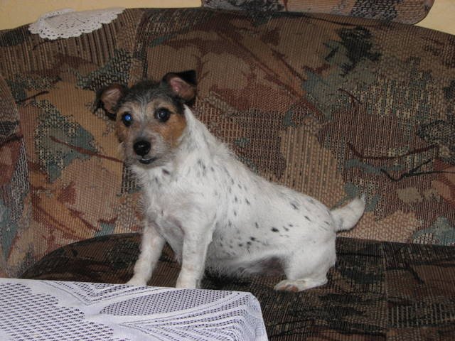 img_1542.jpg