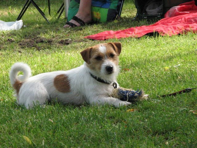 img_0029.jpg