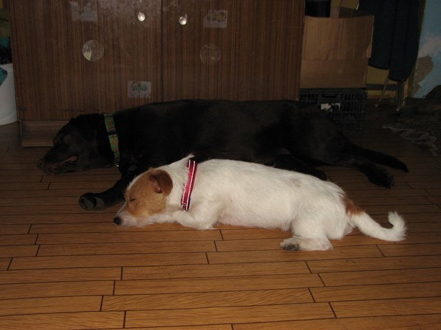 img_0033.jpg