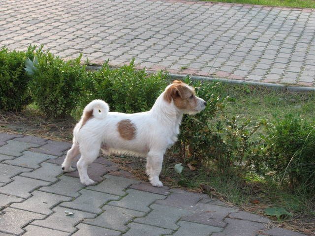 img_0087.jpg