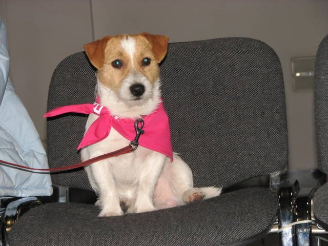 img_0138.jpg