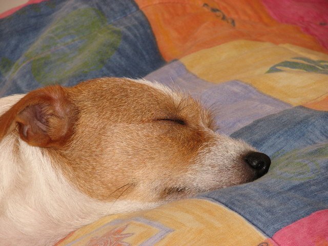 img_0335.jpg