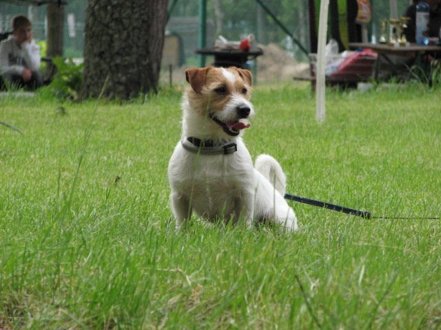 img_0585.jpg