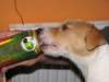 img_0791_small.jpg
