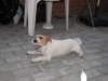 img_1270_small.jpg