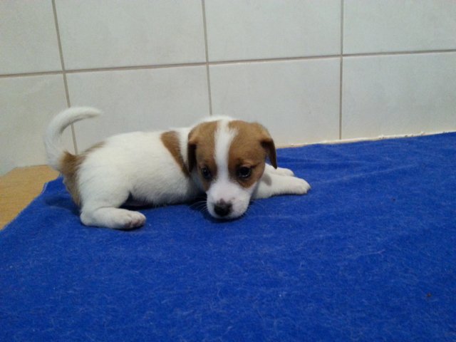 _1734070.jpg