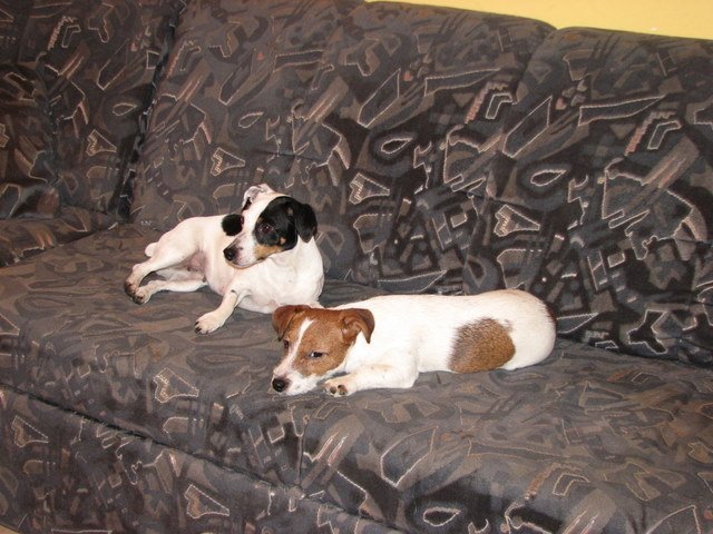 img_0078.jpg