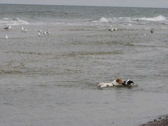img_0181.jpg