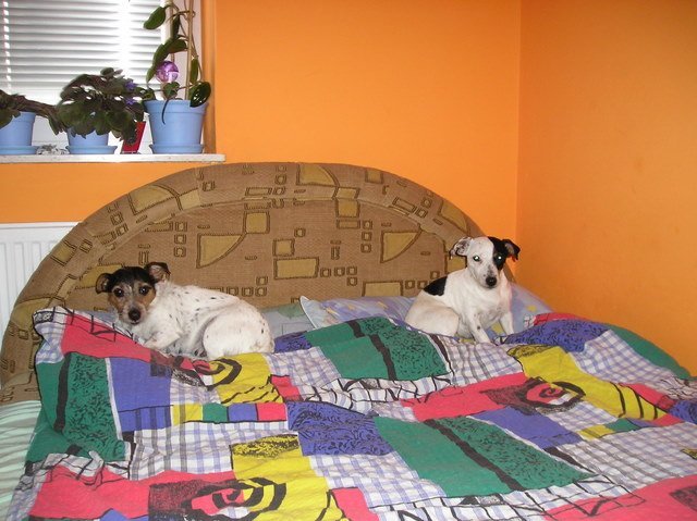 p1010002.jpg