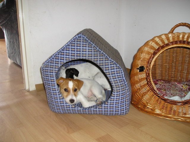 p1010039.jpg