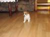 img_0404_small.jpg