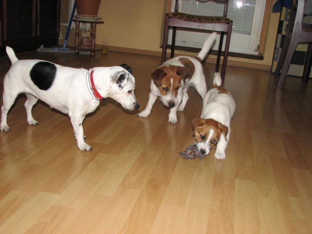 img_0427.jpg