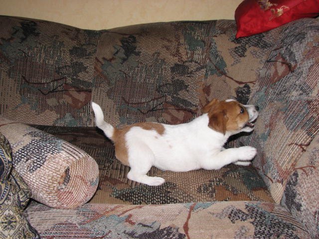 img_0449.jpg