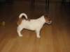 img_0471_small.jpg