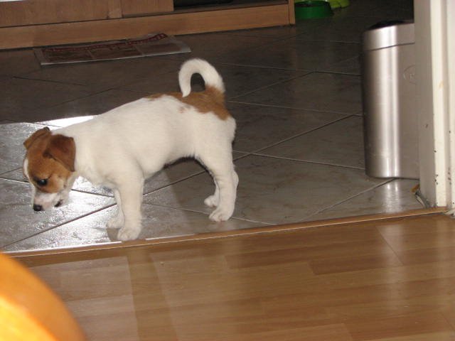 img_0512.jpg