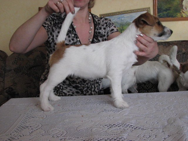 img_0896.jpg