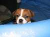 img_0006_small.jpg