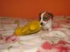 img_0008_small.jpg