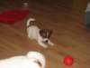 img_0012_small.jpg