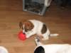 img_0013_small.jpg