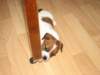 img_0014_small.jpg