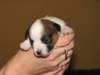 img_0017_small.jpg