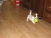 img_0021_small.jpg