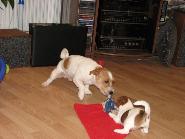 img_0022.jpg